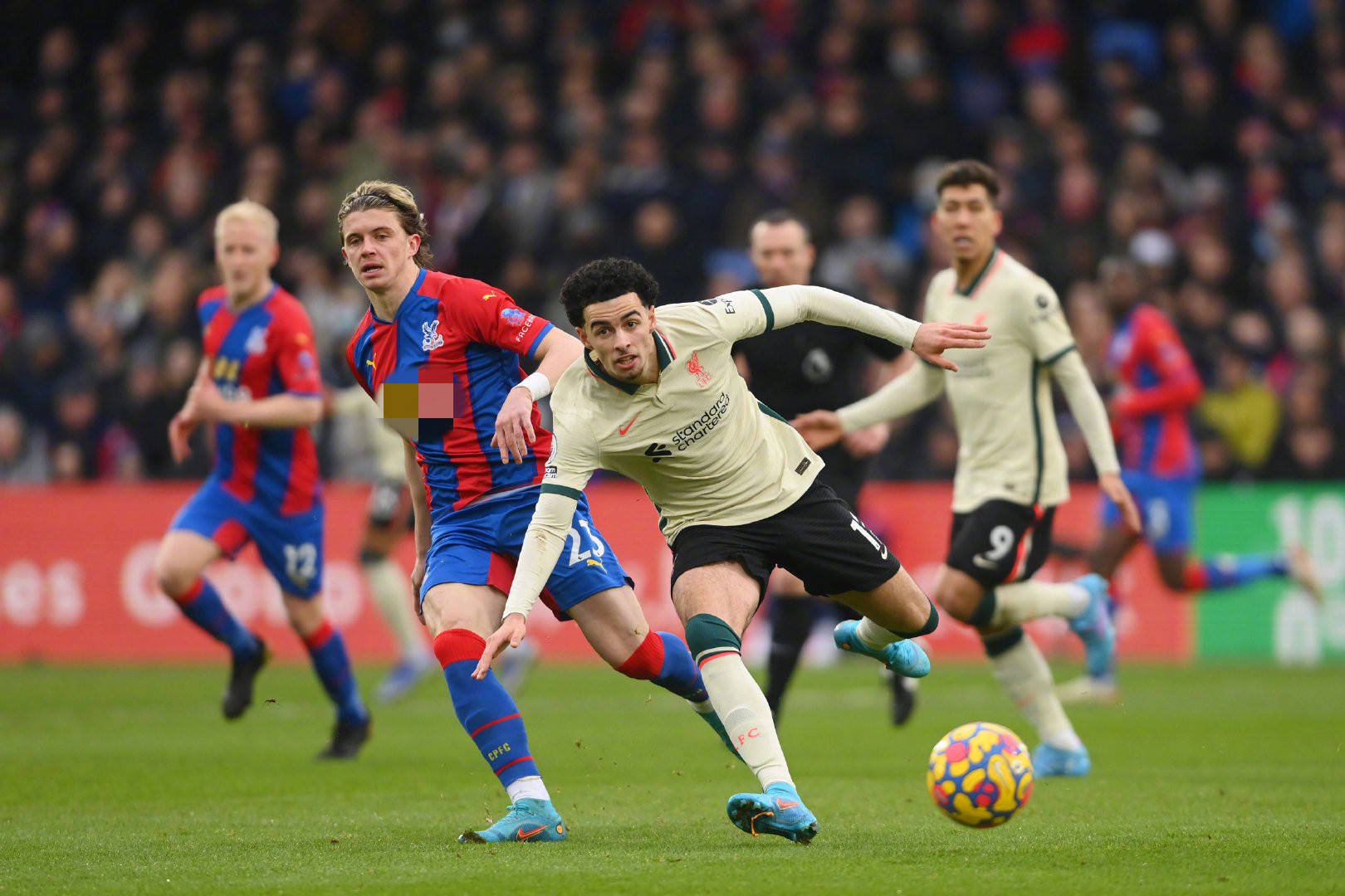 段还有机会 段还有机会